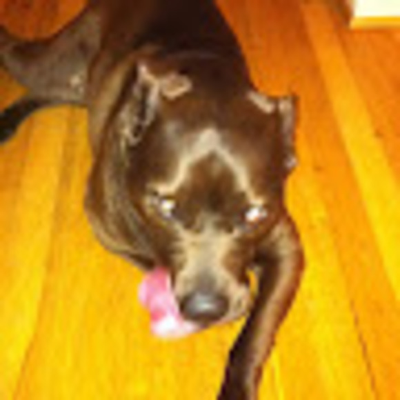 Meet your Posher, James - Picture 1 of 1